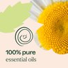Plant Therapy KidSafe Tummy All Better Essential Oil Blend 10 mL (1/3 oz) 100% Pure, Undiluted, Therapeutic Grade