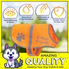 Upgraded Reflective Dog Vest. Hi-Visibility, Fluorescent Blaze Orange Dog Vest Helps Protect Your Best Friend. Safeguard Your PUP from Motorists & Hunting Accidents, On or Off Leash by 4LegsFriend