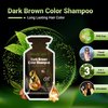 Herbishh Hair Color Shampoo 10 Sachet +1 Argan Hair Mask Pouch | 3 in 1 Hair Dye | PPD Free | Easy to Use | Gray Coverage | Travel Size | Available in 6 Colors (Dark Brown)
