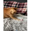 HEUHAI Cat Toys - 15 Diverse Cat-Themed Toys for Engaging and Stimulating Your Feline's Playful Instincts with Interactive and Self-Play Options