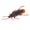 Wendy Mall 20Pcs Realistic Simulation Plastic Fake Cockroach Roach Novelty Bugs Joke Toys for April Fool's Day Halloween Party Favors Decoration Props