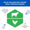 BioTrust Tri Collagen Powder - 3-in-1 Hydrolyzed Collagen Peptides Powder (Types I, II, & III) - Grass Fed Collagen Protein Powder for Anti Aging, Skin, Hair, Bone & Joint Health - Unflavored, 7 Oz.