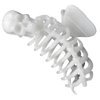 Gothic Skull Skeleton Ribcage Claw Horror Hair Clip (Glow in the Dark)