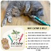 BALLMIE Cat Toys Catnip Ball Toy for cats 50 Units Cat Gift for Halloween Thanksgiving and Christmas Cat Toy Gift…