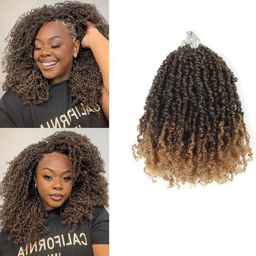 Alaleibaby 9 Packs Yanky Twist Crochet Hair Pre-twisted Passion Twist Crochet Hair Micro Spring Twist Crochet Hair Extensions Suitable for black women.(T27#, 10 Inch (Pack of 9))
