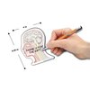 Brain Note Pad-memo Pad-Notebook (2) and Sticky Note (2)-100sheets-4pc in One Package