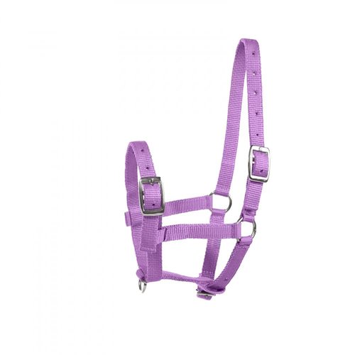HORZE Adjustable Horse Halter for Foals, Colts, Fillies, Miniature Horses - Purple - Foal