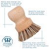 Redecker Natural Fiber Bristle Pot Brush, Untreated Beechwood Handle, Heat-Resistant Union Fiber Head for Cleaning Pots, Pans and More, 2-1/2 inch Diameter, Set of 2, Made in Germany
