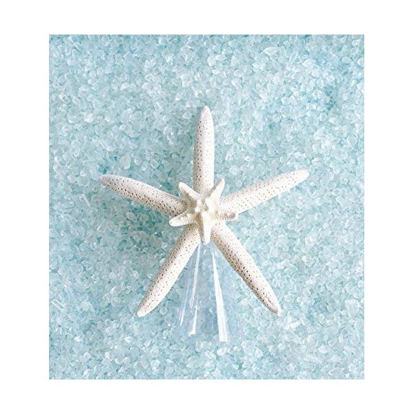 Starfish Tree Topper Double Natural
