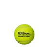 WILSON Triniti Pro Tennis Balls - 3 Balls, Yellow
