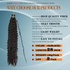 Deep Wave Crochet Hair For Black Women Curly Braiding Hair 24 Inch 2 Packs Ocean Wave Braiding Hair Extensions Soft Crul Crochet Hair For Boho Braids(24inch, 2pack, black)…