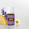Young Living - Envision Essential Oil Blend 5 ml | Ideal for Aromatherapy for Creativity & Awakening Your Inner Drive | Emotional Balance Support | Inspiring Aroma