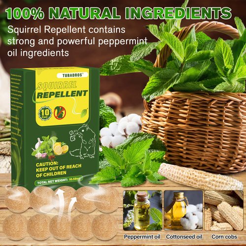 Squirrel Repellent, Peppermint Oil to Repel Squirrel, Mouse,Mice, Squirrel Repellent for Cars, Garden, Indoor/Outdoor Use (1 Count (Pack of 10))