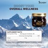 scash Direct Discounts Premium Shilajit Pure Himalayan Organic shilajit Supplement Shilajit Resin Lab Report with Fulvic Acid & Trace Minerals 85+ Humic Acid 0.7 Ounce