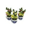 3pc Miniature Flower Clay Dollhouse Fairy Garden Mini Plant Trees Ceramic Paint Furniture Bundles Artificial Flowers Tiny Orchid #093