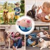 OTXKXBLP Active Moving Pet Plush Toy, Interactive Dog Toys Pet Bouncing Balls, USB Rechargeable Interactive Washable Cartoon Pig Plush Sound Electronic Dog Toy, Small Cute Squeaky Pig Dog Toy (Blue)
