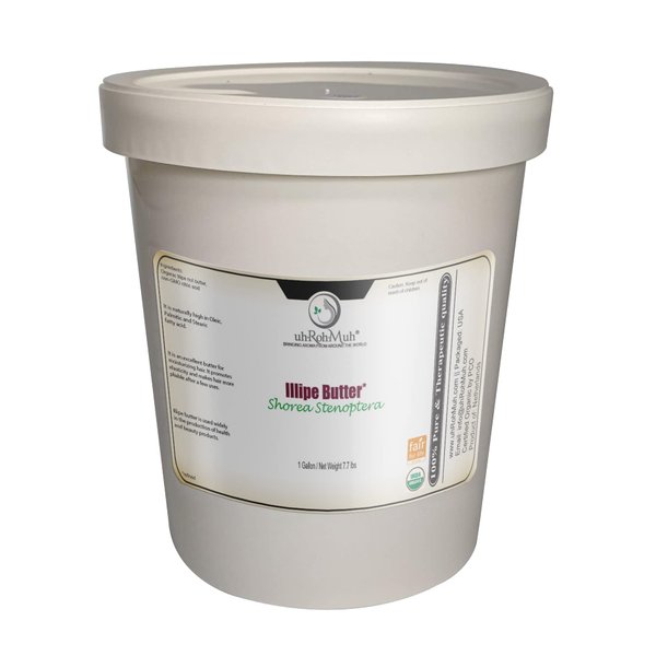 Illipe Nut Butter (Organic - USDA Certified) (Netherland) (32 fl oz) (Net Wt: 0.8 kg / 1.7 lb)