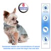 Natural & Safe Flea and Tick Collar for Small Dogs, 2 * 8 Months Protection, Waterproof, 13.8 inch, One Size Fits All, Free Comb and Tick Removal Tool (2 Pack)