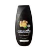 Schauma Repair Damaged Dry Hair Shampoo For Men 250ml Anti-Dandruff Intensive Shampoo