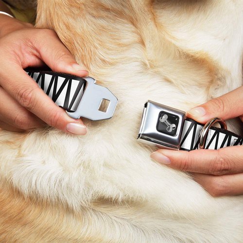 Dog Collar Seatbelt Buckle Zig Zag Doodle Black White 11 to 17 Inches 1.0 Inch Wide
