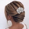 Flyonce Women's Austrian Crystal Flower Leaf Cluster Wedding Bridal Hair Comb Clear Silver-Tone