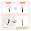 ANNAFRIS Easy Fan Eyelash Extension Automatic 1S Flowering 0.07 C Curl 8-15mm Mix Individual False Lashes Natural Soft Matte Black Volume Lash Extensions supplies (0.07 C, 8-15mm Mix)