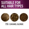 Schwarzkopf Keratin Color Permanent Hair Color, 7.5 Caramel Blonde, 1 Application - Salon Inspired Permanent Hair Dye, for up to 80% Less Breakage vs Untreated Hair and up to 100% Gray Coverage