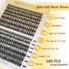 Mayhug Lash Extensions Kit Individual Lashes Cluster Lashes Wispy Natural 280pcs DIY Eyelash Extension Kit Cluster Lashes D Curl 8-15Mix Individual Extension Clusters at Home (30D+40D Kit)