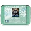 One With Nature Eucalyptus Triple Milled Dead Sea Bar Soap, 7 Ounce - 1 each.