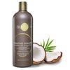 NIUCOCO Anti Dandruff,Vegan, and Natural Hydrating Shampoo for Dry, Itchy Scalp, and Damaged Hair with Coconut Oil & Vitamin E, 250ml