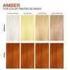 Celeb Luxury Gem Lites Duo Color Depositing Colorwash Shampoo & Conditioner Set + Bondfix Bond Rebuilder, Semi Permanent Hair Color, Vegan Hair Dye, Amber Copper Brown