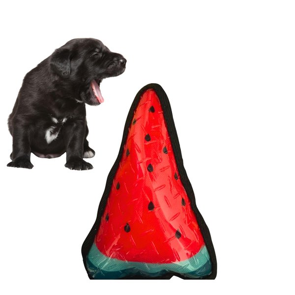 CECE PAW Dog Toy Popsicle Pack Water Toy (One Pack, Watermelon)