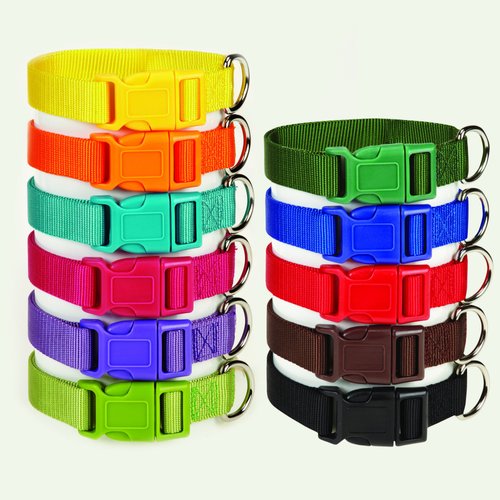 Zack & Zoey ⅝" Wide Nylon Dog Collar, Fits Necks 14" to 20", Raspberry Sorbet