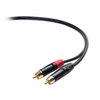 Cable Matters Dual RCA to XLR Unbalanced Interconnect Cable 10 ft, 2 RCA to XLR Male Cable (Dual XLR to RCA Cable) - 10 Feet
