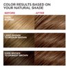 L'Oreal Paris Excellence Creme Hair Color, Medium Golden Brown (Pack of 3)