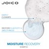 Joico Moisture Recovery Moisturizing Shampoo & Conditioner Set | Replenish Loss Moisture | For Thick & Coarse & Dry Hair