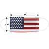 Popfunk American Flag 1-Ply Reusable Face Mask Covering with Adjustable Nose Wire, Unisex