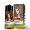 Herbishh Color Enriched Shampoo for Gray Hair - Long Lasting Hair Dye Formula and Conditioner (Golden Brown)