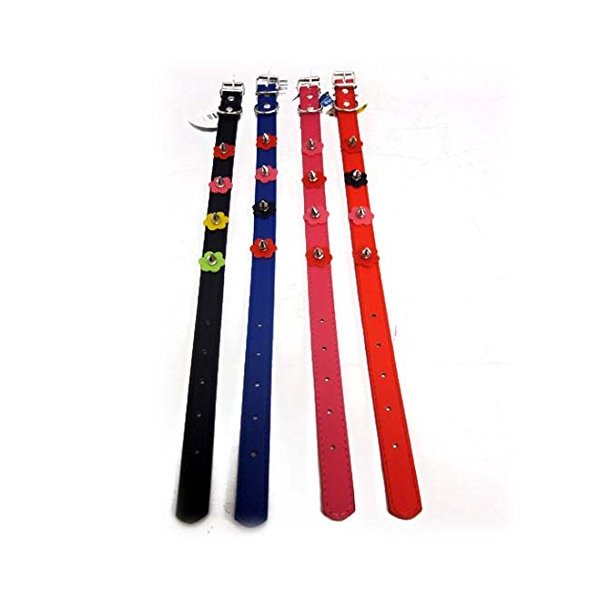 Dog Collar 2 cm x 46 cm, Case of 24