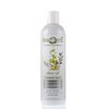 Aphrodite Olive Oil & Rosemary Milk Moisturizing Cream Shampoo, Sulfate Free, 16 fl oz