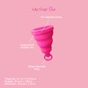 Intimina Lily Cup One - Collapsible Disposable Menstrual Cups for Beginners, Small Menstrual Cup, Period Cup for Teens