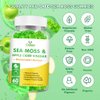 OALSE Organic Sea Moss Gummies - 1800mg Irish Sea Moss + 1200mg Bladderwrack + 240mg Burdock Root + 240mg Apple Cider Vinegar - Supports Immune & Digestion Health [60 Count (Pack of 2)]