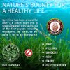 Spirulina Capsules-Natural Daily Superfood Supplement-Blue Green Algae Extract with B Vitamins, Iron, Amino Acid&Antioxidants to Support Immune System Function, Total Body Cleanse 100pcs