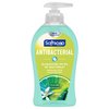 Softsoap Antibacterial Liquid Hand Soap, Fresh Citrus - 11.25 fluid ounce Green