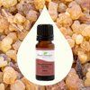 Plant Therapy Frankincense Serrata Essential Oils 100% Pure, Undiluted, Natural Aromatherapy, Frankincense Oil for Diffuser, Skin, Massage, & Joint Health, Therapeutic Grade 10 mL (1/3 oz)