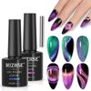 MIZHSE 9D Cat Eye Gel Nail Polish, 2 Colors Cyan and Purple Holographic Galaxy Cateye Magnetic Nail Polish Gel, Magic Cateye Manicure Nail Art Set 10ML