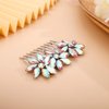 BERYUAN Crystal Flower Hair Comb for Women Girls Prom Crystals Hair Comb Wedding Headpiece for Bride Bridemaid Flower Girls (AB)