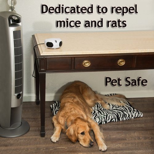 Cleanrth EL300 Elite Mice & Rat Electronic Pest Repeller | Electronic Rodent Control