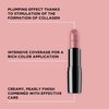 ARTDECO Perfect Color Lipstick - Lingering Rose - Glide-On Lipstick - Rich Color & Plumping Effect - Creamy, Pearly Finish - Hyaluronic Acid - Long Lasting - Lip Plumper - Lip Care - Makeup - 0.14 Oz