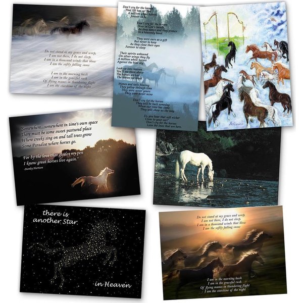 HoofPrints 12 Assorted Equine Horse Sympathy Cards Veterinarian Farrier Rescue